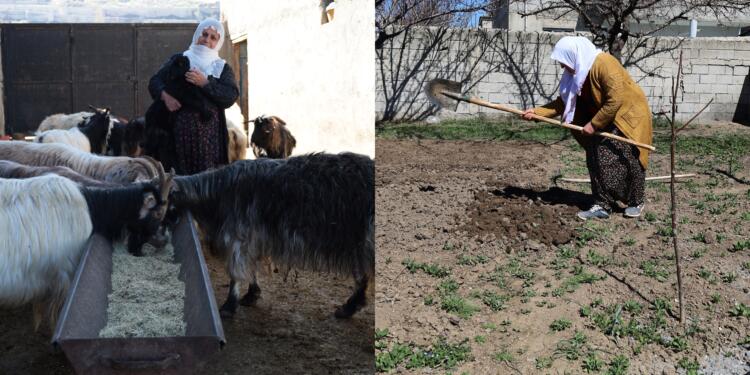 Kuraklık, tarım ve hayvancılığı tehdit ediyor