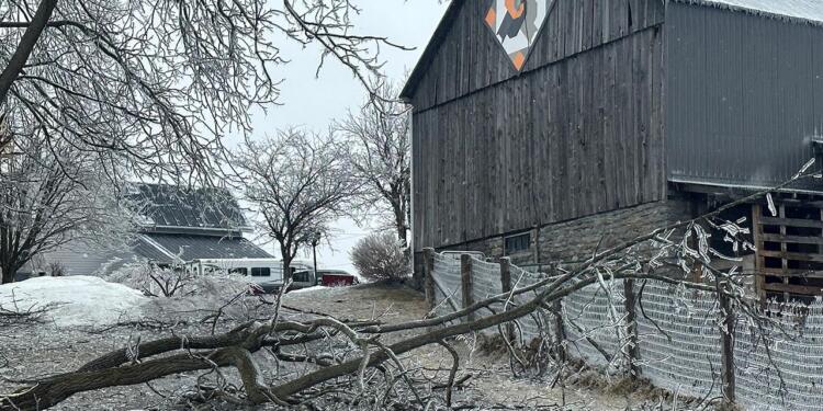 Kanada’da buz fırtınası: Bir milyon kişi elektriksiz kaldı