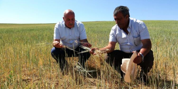 Kürt coğrafyasında kuraklık derinleşiyor