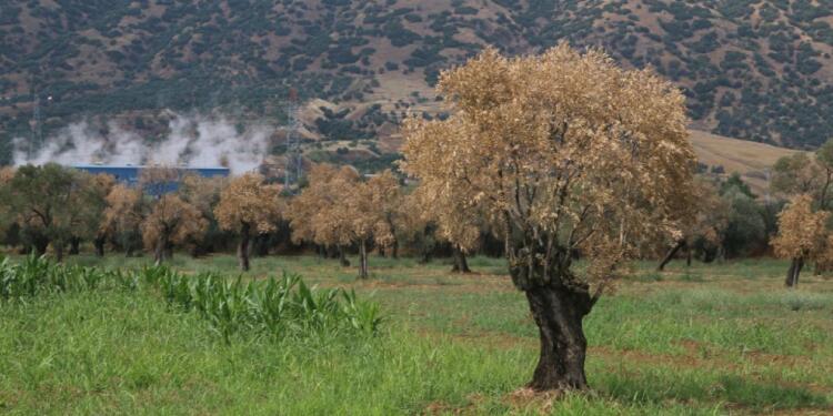 JES’ler suları, toprağı ve halkı zehirliyor