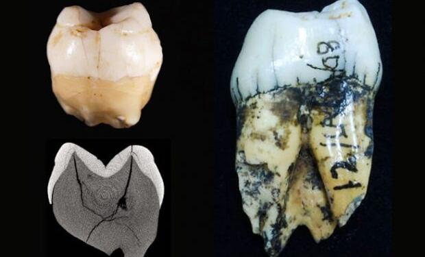 Asya’da 73 bin yıllık Homo Sapiens izi