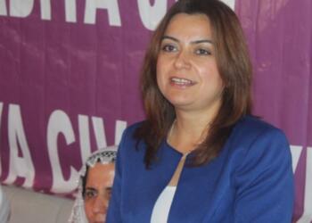 Koçyiğit: Erdoğan birinci turda kaybetti