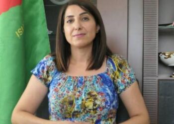 Kayyumla görevden alınan Eşbaşkan Toprak beraat etti