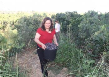 Bismil Belediyesi Eşbaşkanı’na 15 yıl hapis cezası verildi