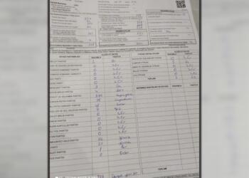 Riha’da Yeşil Sol Parti’nin aldığı oylar MHP’ye yazıldı