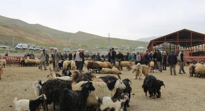 AKP döneminde çiftçilik ve hayvancılık tükendi