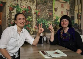 Uluslararası seçim gözleme heyeti: Kürt’ler Erdoğan’ı yıkmaya kararlı