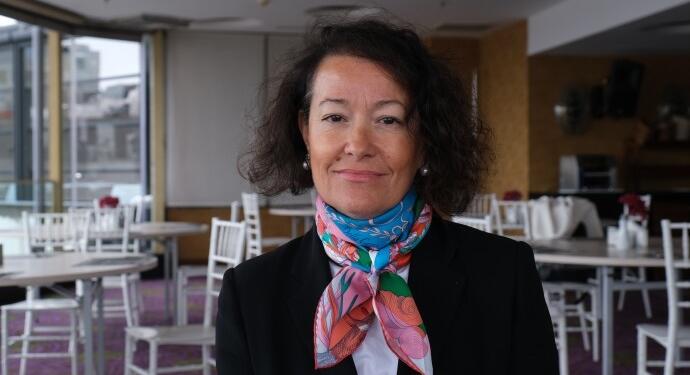 AK üyesi Castel, İmralı’ya gitmek için başvuru yapacak