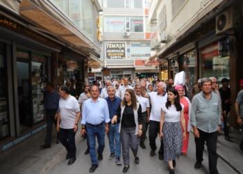 Yeşil Sol milletvekilleri 28 Mayıs için sahada