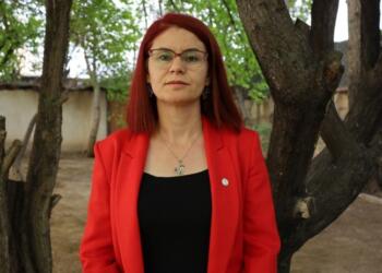 Yeşil Sol Parti Milletvekili Sağyiğit: Hiçbir şey bitmedi, yeni başlıyoruz