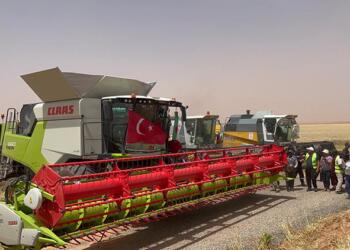 AKP iktidarının desteği ile Cezayir çöllerinde buğday üretimi yapan şirket üretim verimini dekar başına 700 kg açıklarken, Türkiye'deki verim 400 kg civarında olması dikkat çekici.