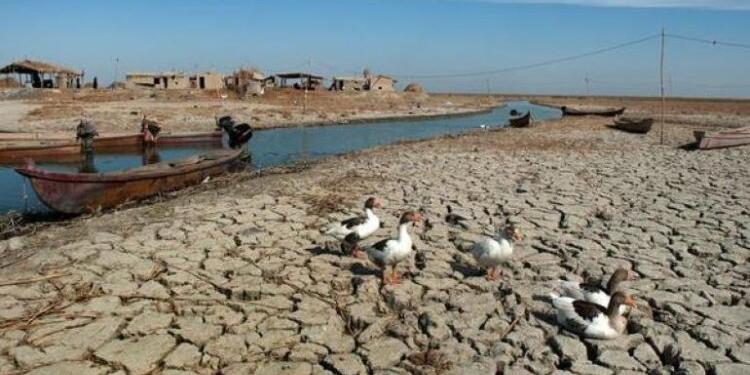Barajlar Dicle ve Fırat nehirlerini kuruttu