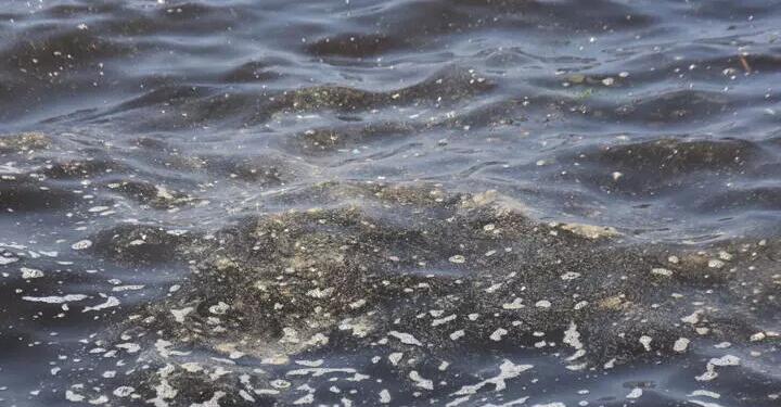 İzmir’de dereler foseptiğe dönüştü