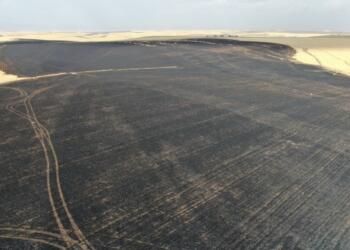 2021 yılında Türkiye'nin Ege ve Akdeniz kıyılarında başlayan yangınlarda, iktidar görevini yerine getiremediği için yurttaşlar yangınlara müdahale etmişti.