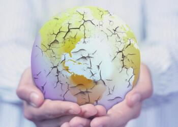 Dünya akıtılan timsah göz yaşları eşliğinde yok oluşa bağlanmış durumda. Bu durumu yaratan tek sorumlu kapitalizm ve onun üretim süreçleridir.