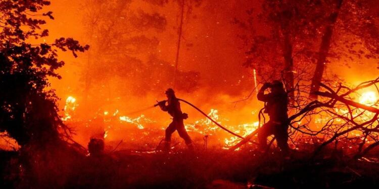 Kanada’da 43 milyar ağaç kül oldu