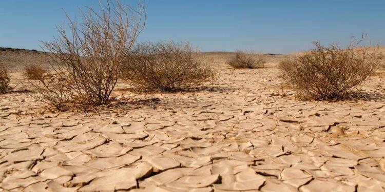 TEMA Vakfı: Türkiye’nin yüzde 73,4’ünün çölleşme tehlikesi altında