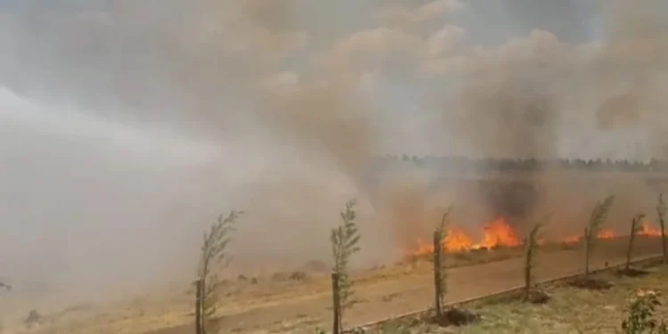 Qubin ve Hênî de çıkan yangında: 900 dönüm yandı