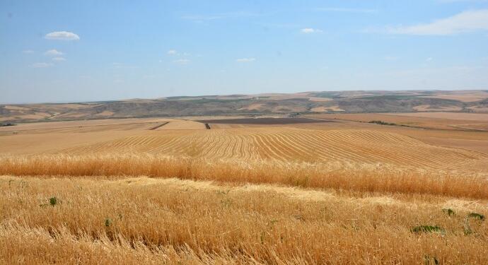 AKP’li belediye hazine arazisini meraya çevirdi, köylülerin ekinlerine el koydu