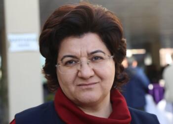 Emine Ayna hakkında ceza istendi