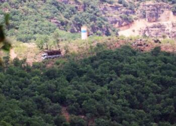 Geliyê Godernê’de ağaç kıyımına ‘özel mülk’ kılıfı