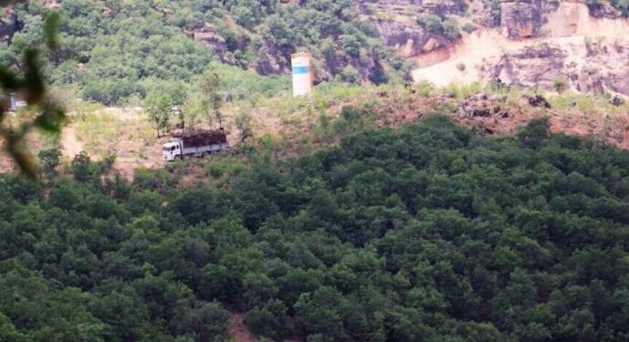 Geliyê Godernê’de ağaç kıyımına ‘özel mülk’ kılıfı
