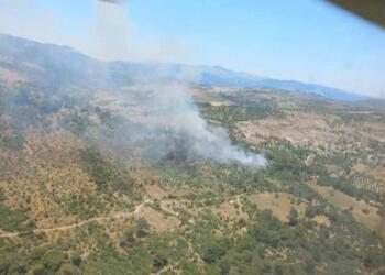 Bergama’da orman yangını