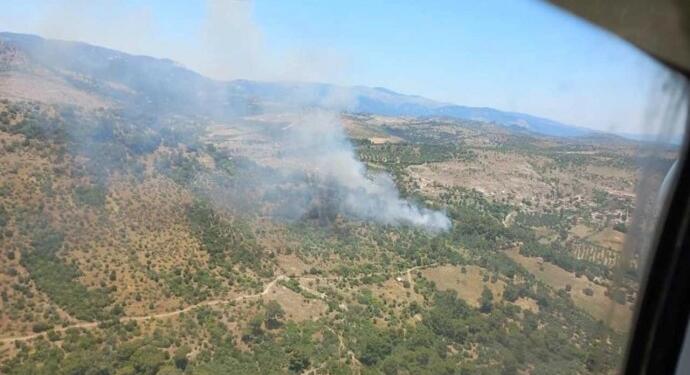 Bergama’da orman yangını