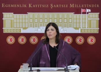 Beştaş’tan SİHA saldırılarına tepki: BM de bu katliamın sorumlusu