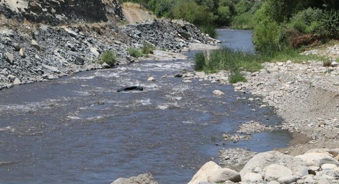‘Doğamıza siyasi olarak yaklaşılıyor, hukuk burada işlemiyor’