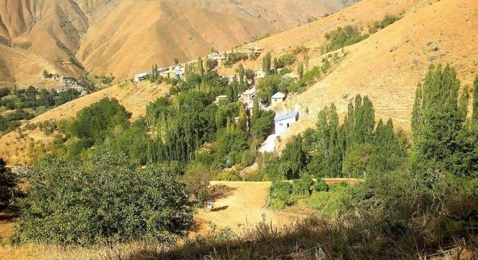 Wan’da yayla kavgası: En az 7 yaralı
