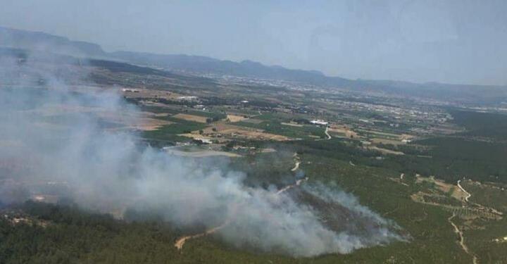 Buca’da orman yangını