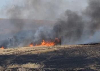 Bismîl katliamı: Kadınlar barış için öncülük etmeli