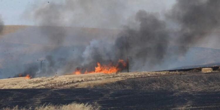 Bismîl katliamı: Kadınlar barış için öncülük etmeli