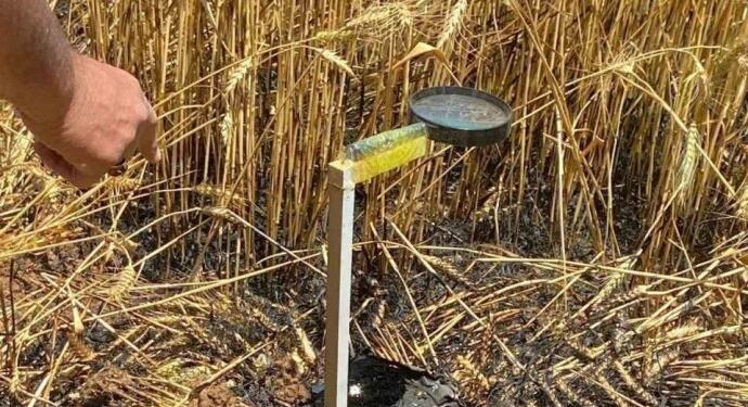 Mercek düzeneği ile buğday tarlasını ateşe verdiler