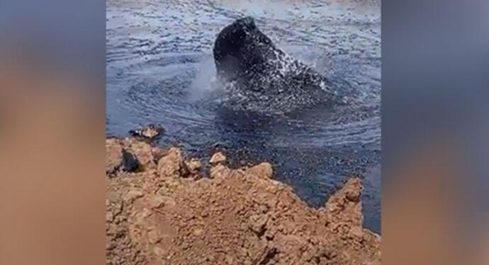 Yandaş medyanın ‘Gabar’da petrol fışkırıyor’ dediği görüntü Venezuela’dan