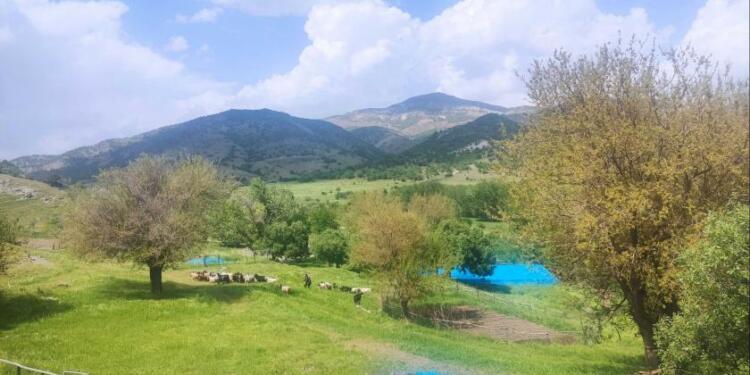 Segedik Köyü’ndeki gölet projesine tepki: Doğal dengeler bozulacak