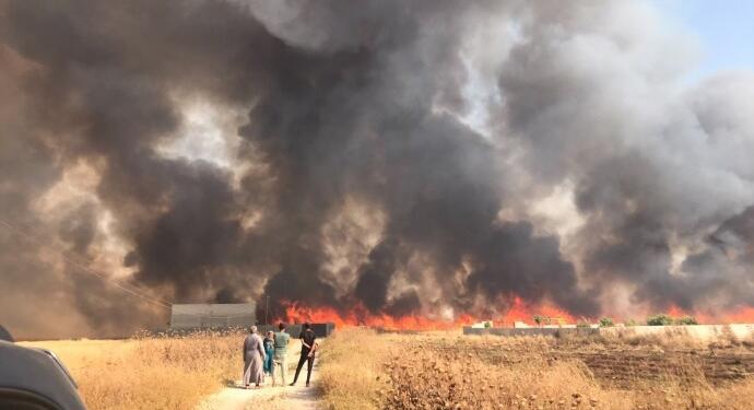 Kobanê’de 30 hektar tarım arazisi kül oldu
