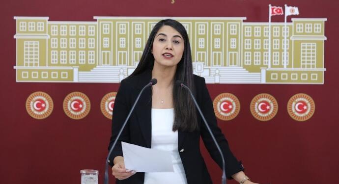 Cezaevlerinde yaşanan hak ihlalleri Meclis gündeminde