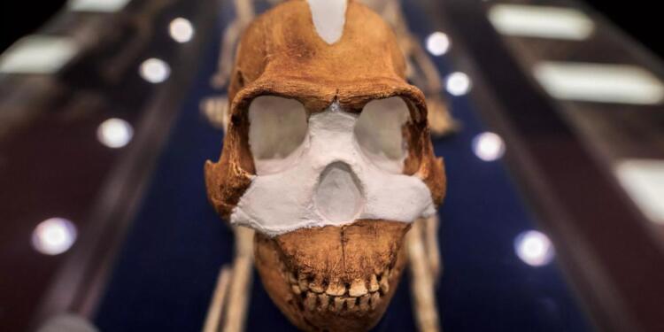 Dünyanın bilinen en eski mezarlığı keşfedildi