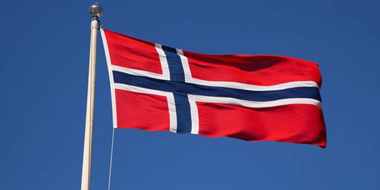 Norveç’teki şirketlere yönetimde yüzde 40 kadın çalışan şartı