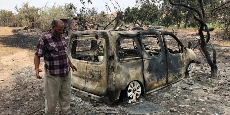  Cezayir’de süren orman yangınlarında 34 kişi yaşamını yitirdi