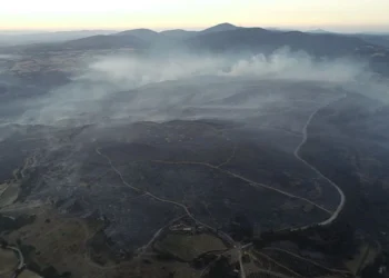 Çanakkale’deki orman yangını sürüyor