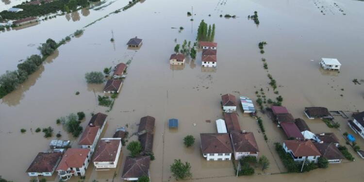 ‘Sellerin nedeni ekolojik talan’