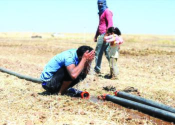 Kurdistan’da sıcaklık rekoru bekleniyor