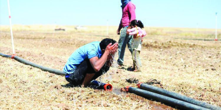 Şirnex'in Cizîr ilçesinde daha önce 49 dereceölçülen sıcaklıkta bu yıl rekor düze.