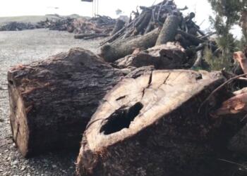 Dola Melekan çölleşmeyle karşı karşıya