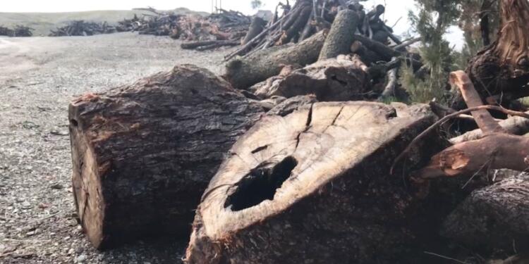 Dola Melekan çölleşmeyle karşı karşıya