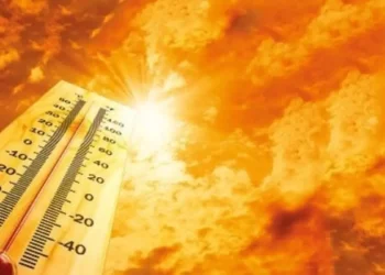 Dünya ısınıyor, Kurdistan yanıyor