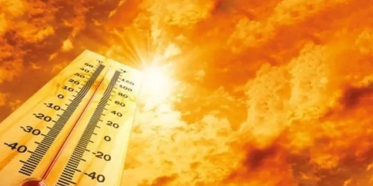 Dünya ısınıyor, Kurdistan yanıyor